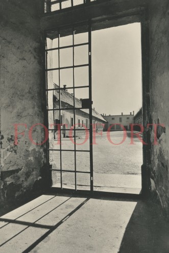 Terezín 1958-06