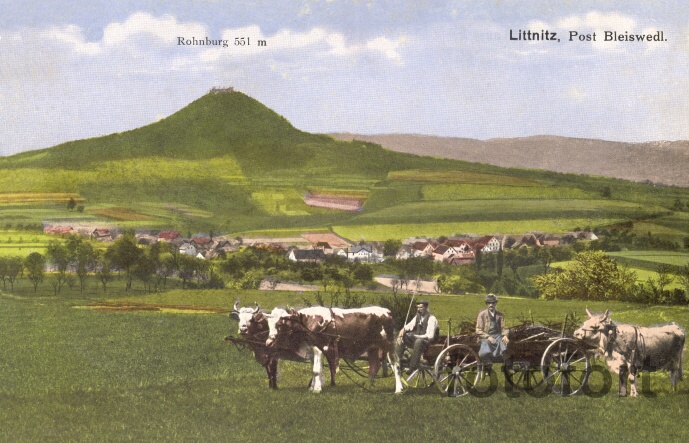 Litice 1913