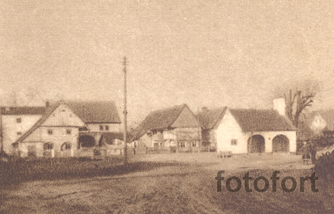 Vědlice 1949c