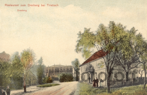 Třebušín 1909