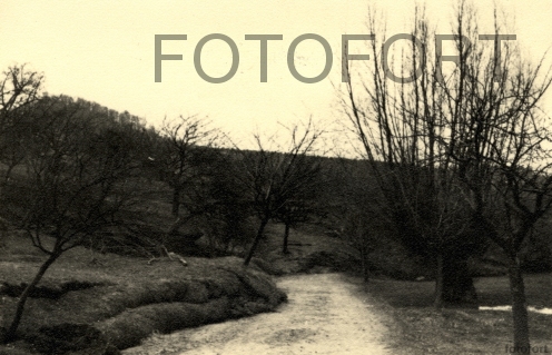 09 dolní týnec 1941