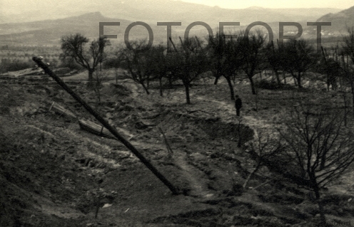 12 dolní týnec 1941